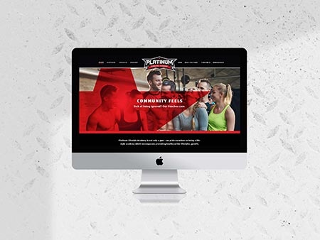 Patinum Lifestyle Academy Burleigh Heads Website Design